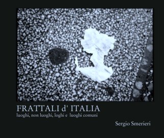 FRATTALI d' ITALIA 
luoghi, non luoghi, loghi e  luoghi comuni book cover
