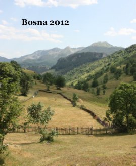 Bosna 2012 book cover