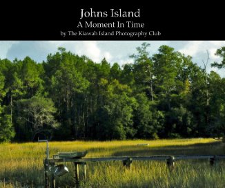 Johns Island book cover