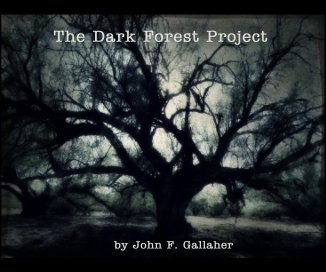 The Dark Forest Project book cover
