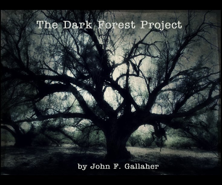 View The Dark Forest Project by John F. Gallaher
