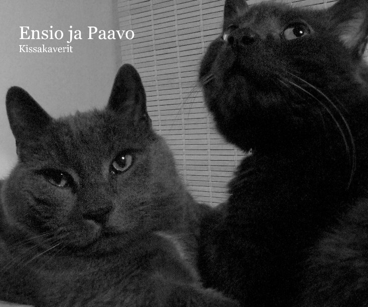 View Ensio And Paavo Cat Buddies by Eija Saarinen & Kari Tanskanen