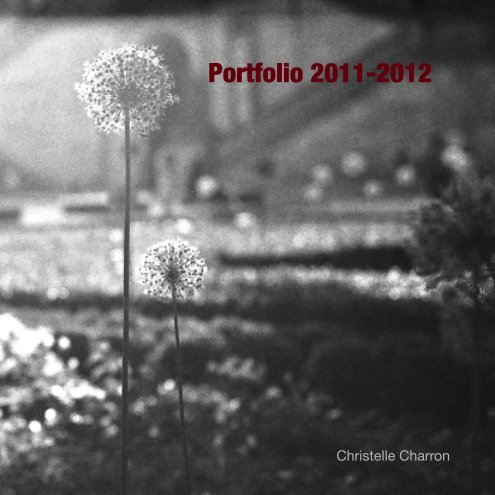 View Portfolio 2011-2012 by Christelle Charron