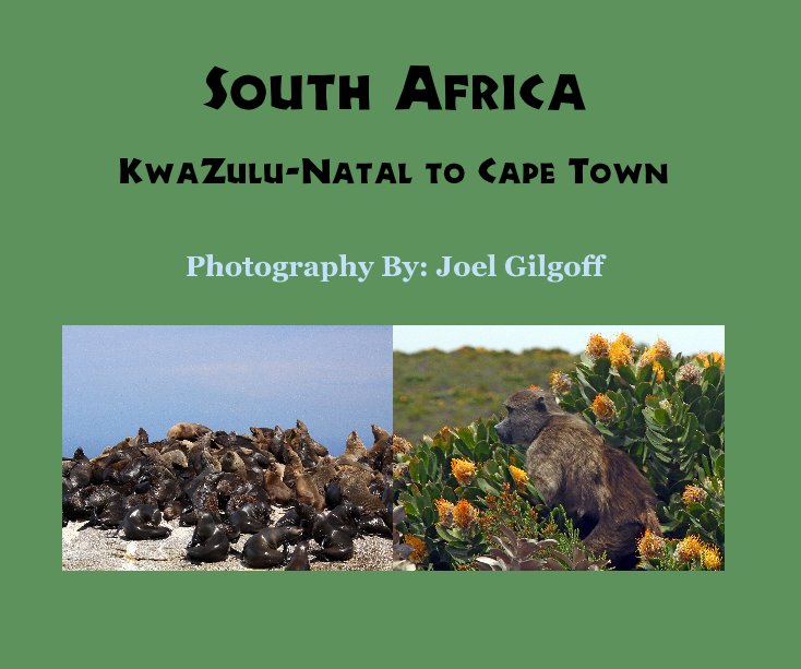 View South Africa by Photography By: Joel Gilgoff