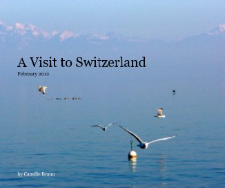 A Visit to Switzerland book cover