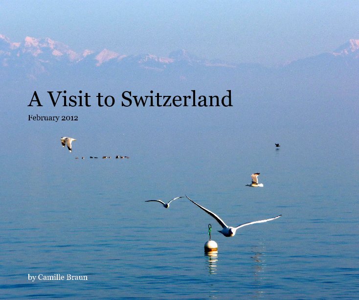 View A Visit to Switzerland by Camille Braun (and Mark Braun)