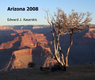 Arizona 2008 book cover