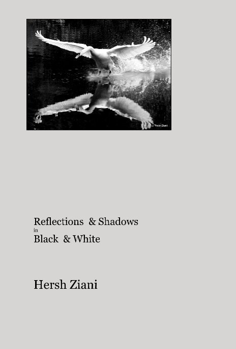 View Reflections & Shadows in Black & White by Hersh Ziani