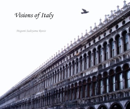 Visions of Italy book cover