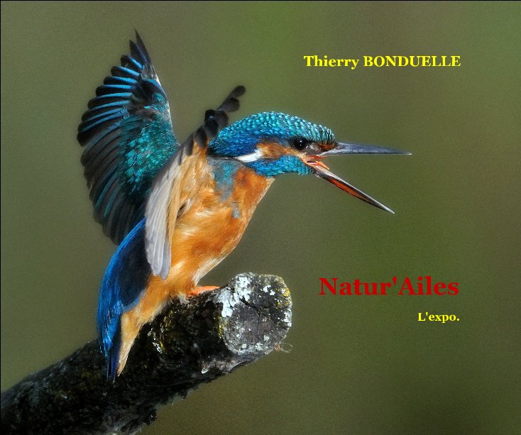 Ver Natur'Ailes por Thierry BONDUELLE