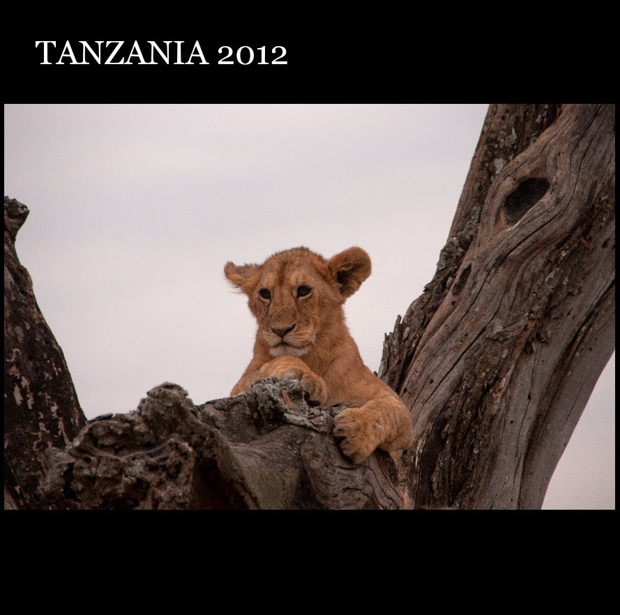 View TANZANIA 2012 by RICAFF