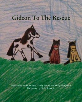 Gideon To The Rescue book cover