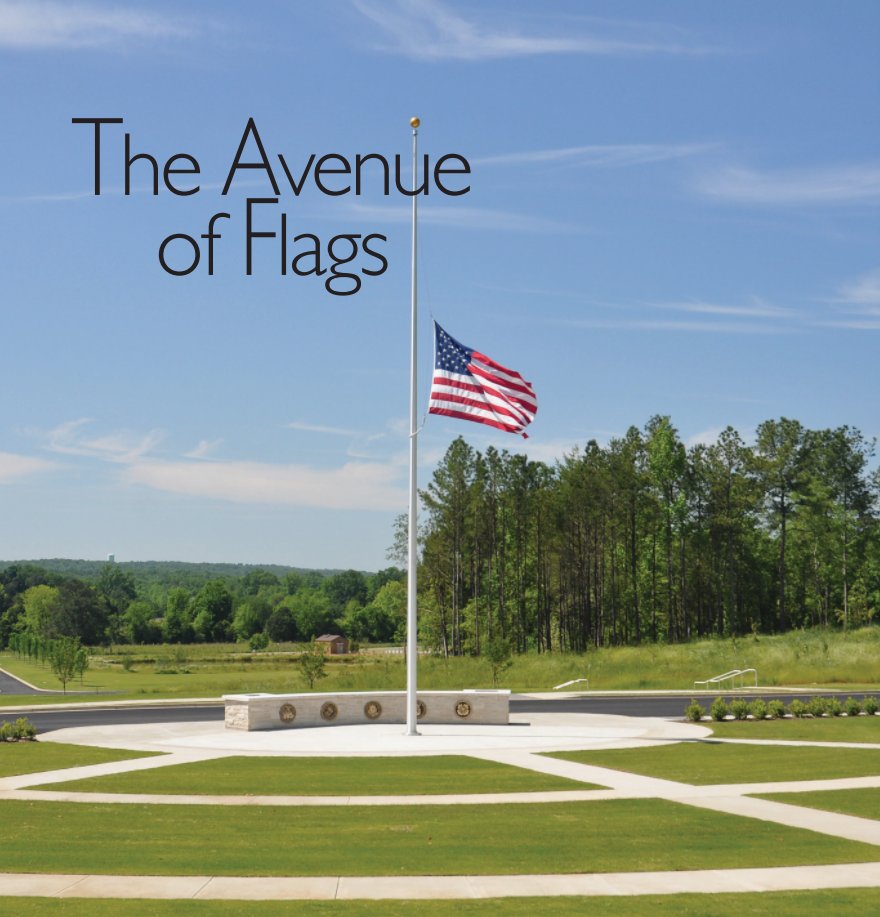 View The Avenue of Flags by SCALNC