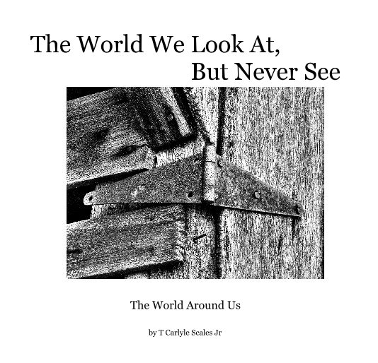 Visualizza The World We Look At, But Never See di T Carlyle Scales Jr