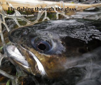 Fly-fishing through the glass book cover