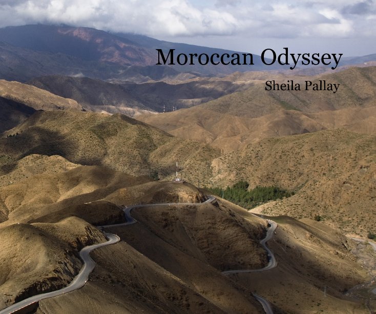 View Moroccan Odyssey by Sheila Pallay
