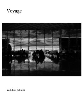 Voyage book cover