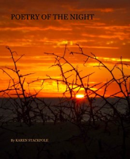 Poetry of the night book cover