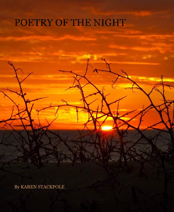 View Poetry of the night by KAREN STACKPOLE