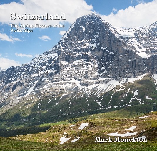 Ver Switzerland por Mark Monckton