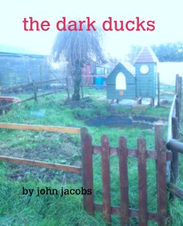 the dark ducks book cover
