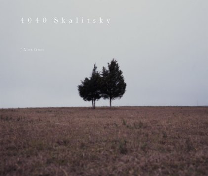 4040 Skalitsky book cover