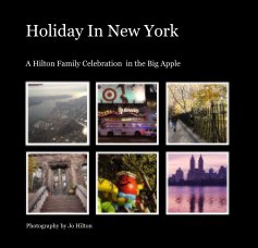 Holiday In New York book cover