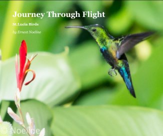 Journey Through Flight book cover