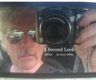 A Second Look 2012 by Larry Sibley book cover