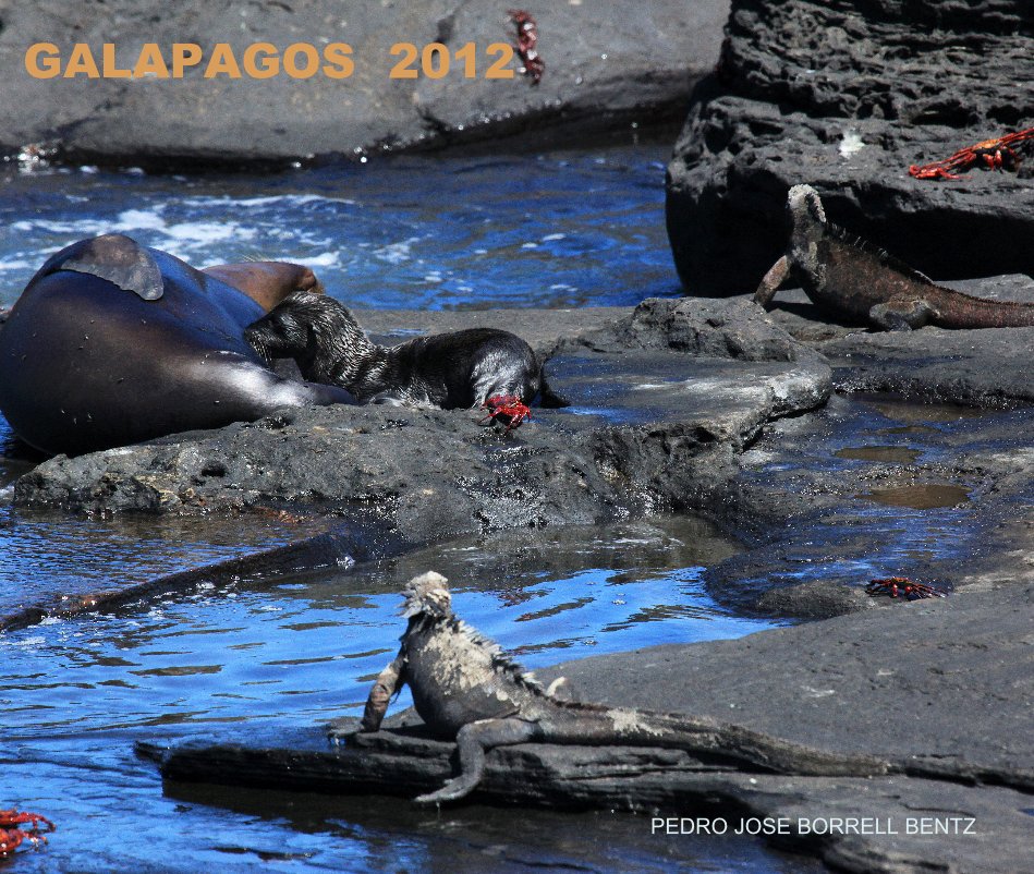 View GALAPAGOS 2012 by PEDRO JOSE BORRELL BENTZ