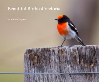 Beautiful Birds of Victoria book cover