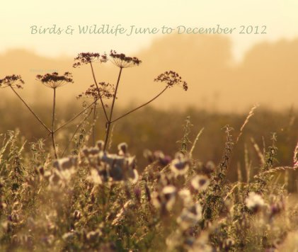Birds & Wildlife June to December 2012 book cover