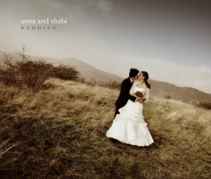anna and shabi W E D D I N G book cover