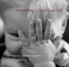 monkey business book cover