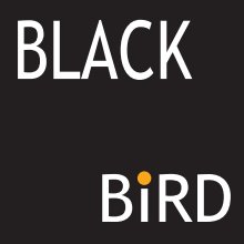 Blackbird 2nd Edition book cover