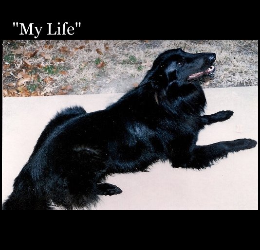 Ver "My Life" por by: Bishop Burns