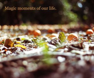 Magic moments of our life. book cover