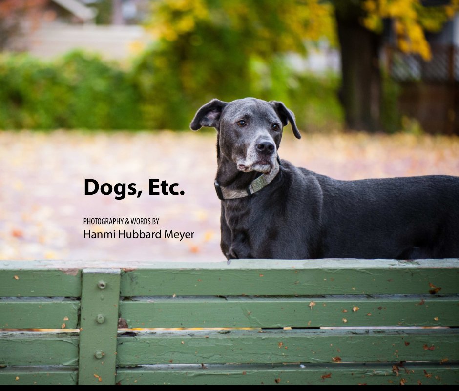 View Dogs, Etc. (11x13) by Hanmi Hubbard Meyer