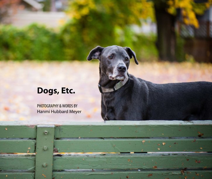 Ver Dogs, Etc. (8x10) por Hanmi Hubbard Meyer