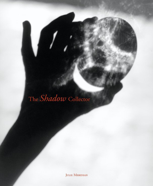 View The Shadow Collector by Julie Meridian