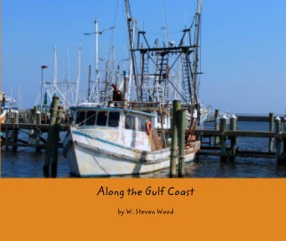 Along the Gulf Coast book cover