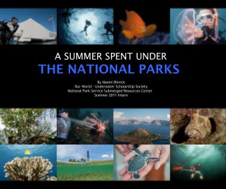A Summer Spent Under the National Parks book cover