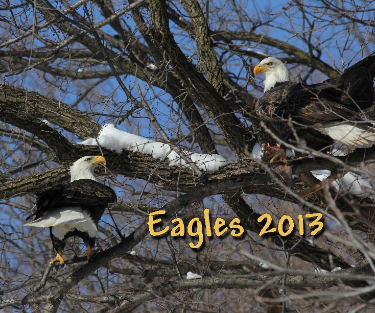 Ver Eagles 2013 por cdimaria