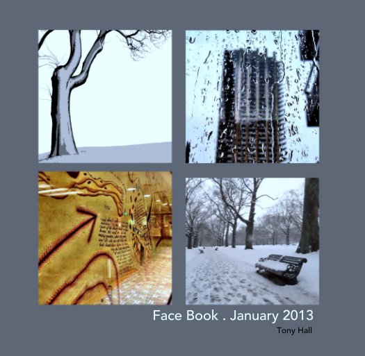 View Face Book . January 2013 by Tony Hall