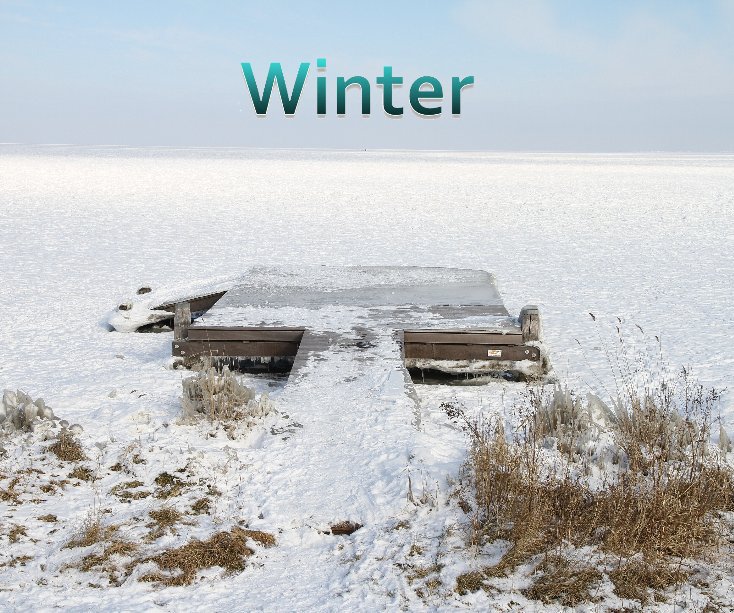 View Winter by Liesbeth Kruijthoff-Flohil