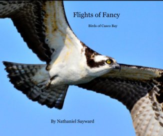 Flights of Fancy book cover