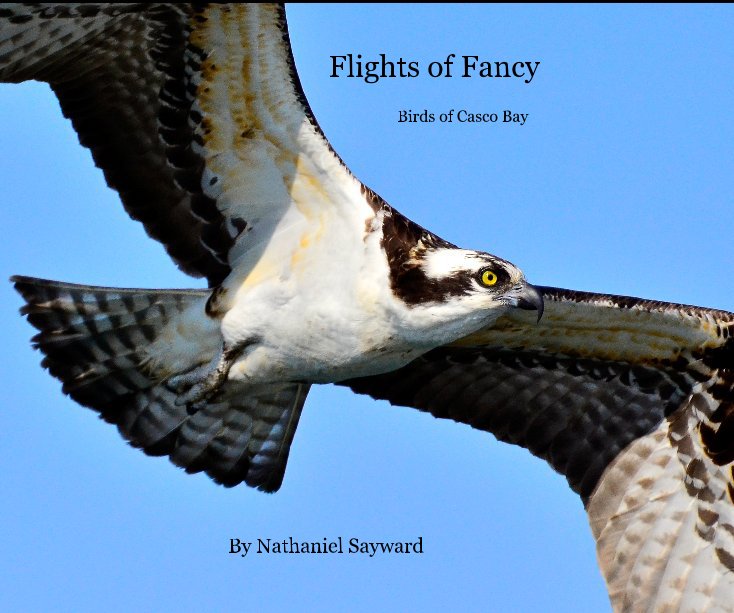 Ver Flights of Fancy por Nathaniel Sayward