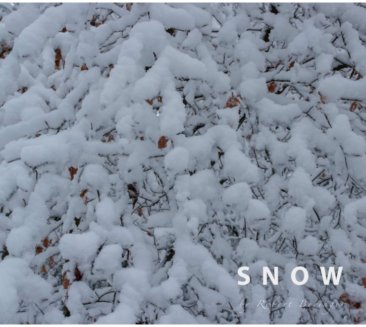 Ver Snow por Robert Beringer
