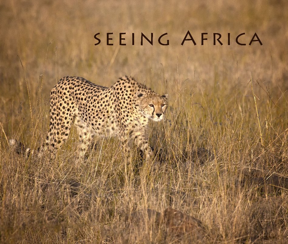 View Seeing Africa by Joan Leesland