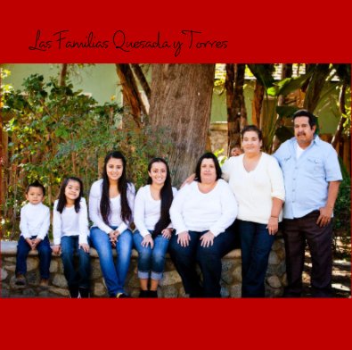 Las Familias Quesada y Torres book cover